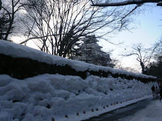 天守from帯郭北東側