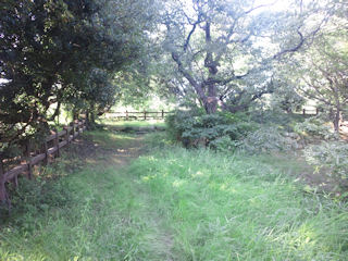 乾櫓跡方面from天守台跡