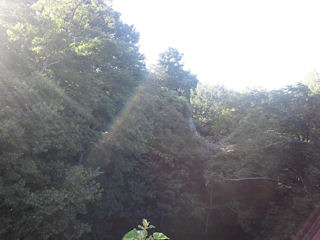 艮櫓跡付近from二の丸