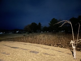 ハス池から本丸方面①