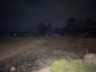 ハス池から本丸方面②