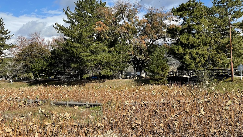 本丸方面from二ノ丸