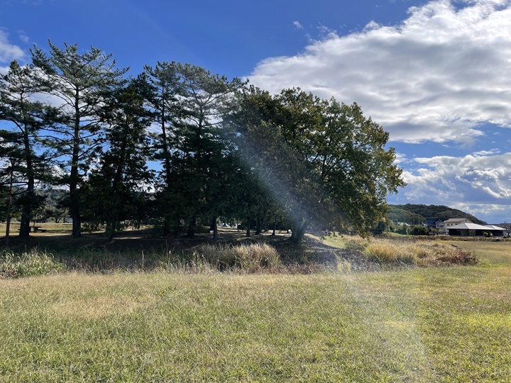 本丸方面from家中屋敷曲輪北寄り二ノ丸