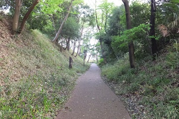 空堀（中郭と西郭）