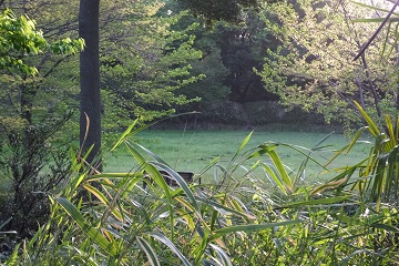 東郭から見下ろす中郭