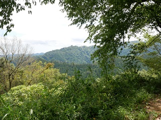 高尾山（ケーブル山上駅方面）