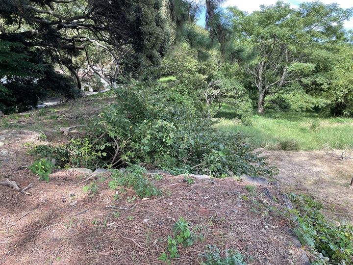 塩櫓石垣上から