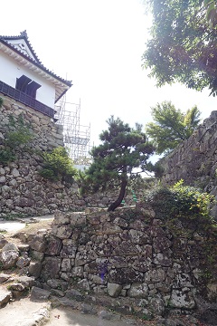 天守付櫓from井戸曲輪付近