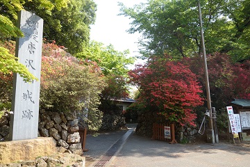 虎口（左外から）