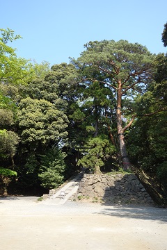 二の丸＋本丸石垣