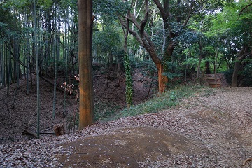 本丸外の馬踏から帯曲輪方面