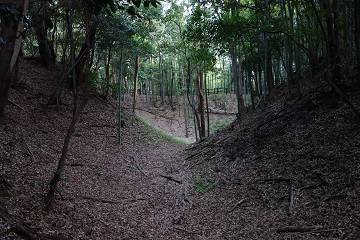 空堀（本丸-帯曲輪間）