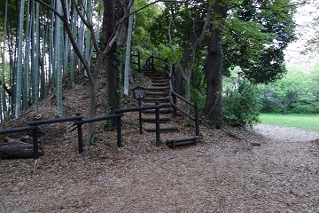 櫓台[高櫓](天倉台)北側登り口