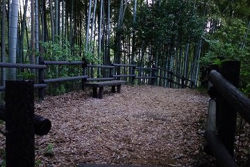 櫓台[高櫓](天倉台)上部