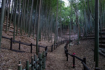 二の丸北側空堀