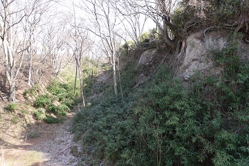 北側断崖(北の丸側)