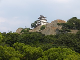 三の丸、本丸石垣と天守