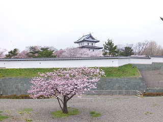 三ノ丸から二の丸と本丸方面