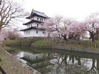 二ノ丸から本丸水掘を挟んで天守