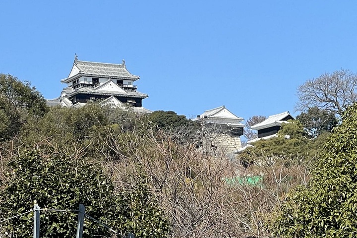 登山リフトから