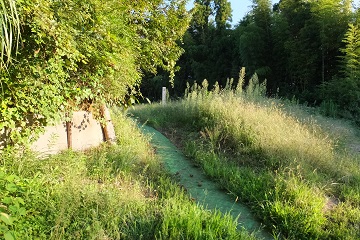 奥の山(Ⅱ郭)を倉跡(Ⅲ郭)から