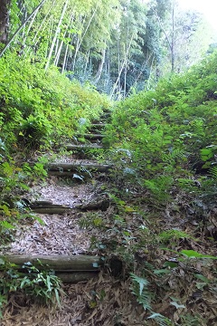 大堀切から奥の山(Ⅱ郭)方面
