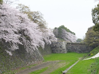 外堀東側と東門