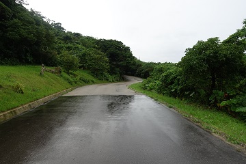 順路に沿って