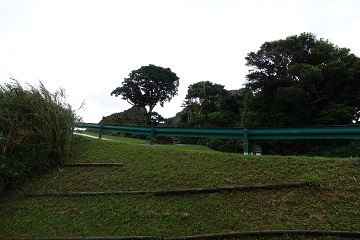 脇を見ると・・・