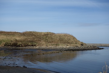 ヲンネモトチャシ