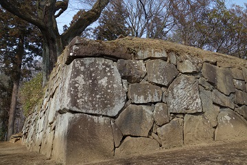 乾櫓石垣（場外側）