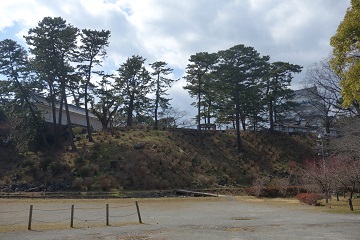 二の丸隅櫓と馬屋曲輪・馬出門の遠景