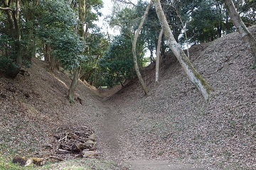 小峯御鐘ノ台大堀切東堀