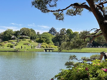 後楽園と岡山城天守