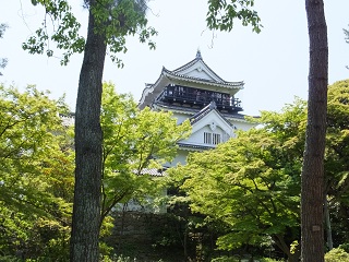 天守(二の丸側から)