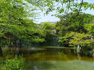 龍城堀から本丸方面