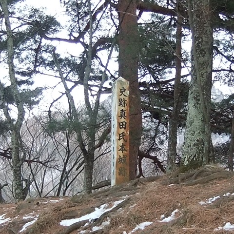 真田本城