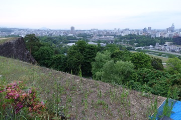 本丸から市街地眺望