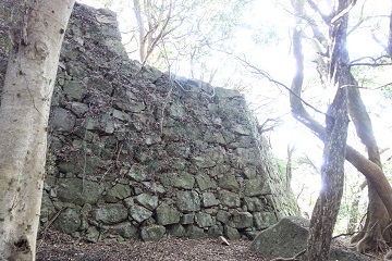東の丸高石垣from武者溜