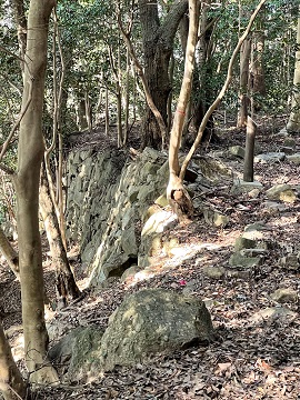西登り石垣(下)