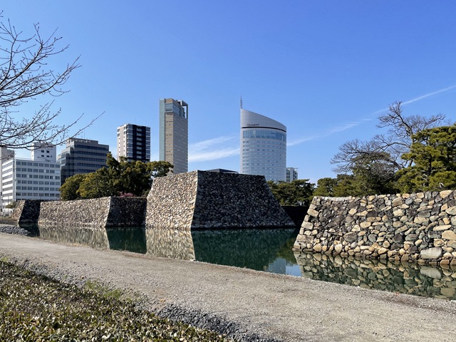 桜の馬場から見た天守台