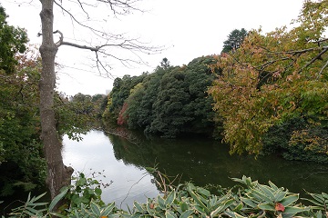 本丸濠（南東面）from三の丸
