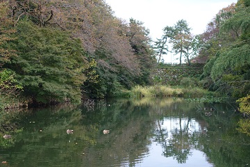 本丸堀(南西面)と土橋(北西側)の石垣［城外(池の端通り)側］