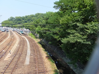 寺島川跡
