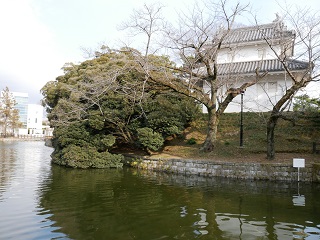 西櫓を本丸堀を挟んで二ノ丸側から