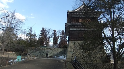 西虎口（外側）