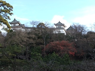 新裏坂登り口の下辺りから本丸曲輪