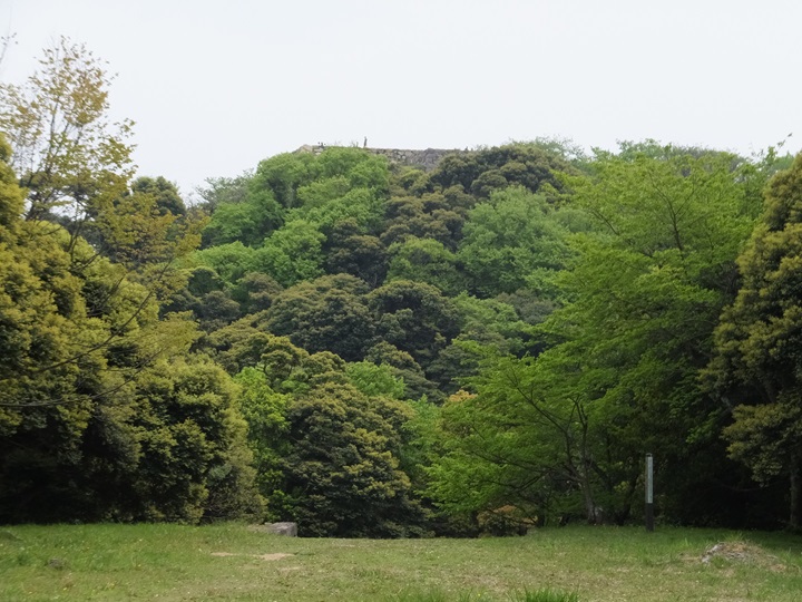 内膳丸から見上げた本丸石垣