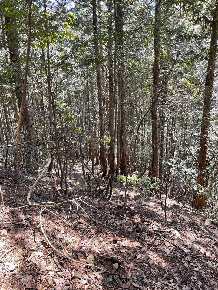 旧本城登城道その１