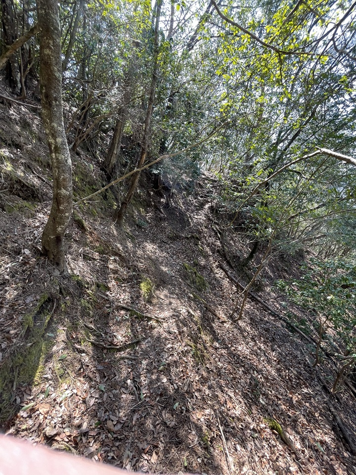 旧本城登城道その２